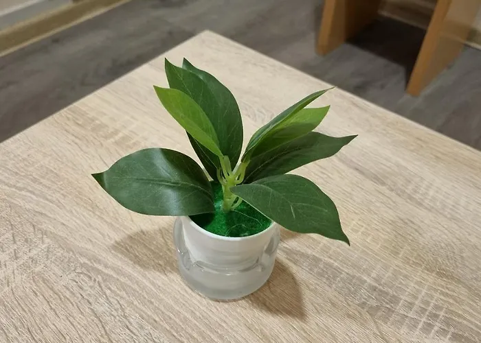 Little Sony Apartment